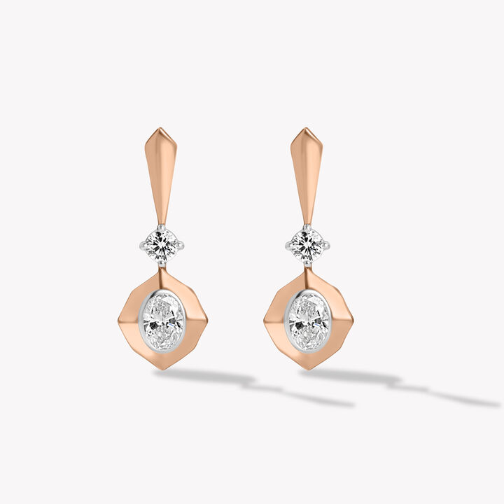Frame The Drop Earrings