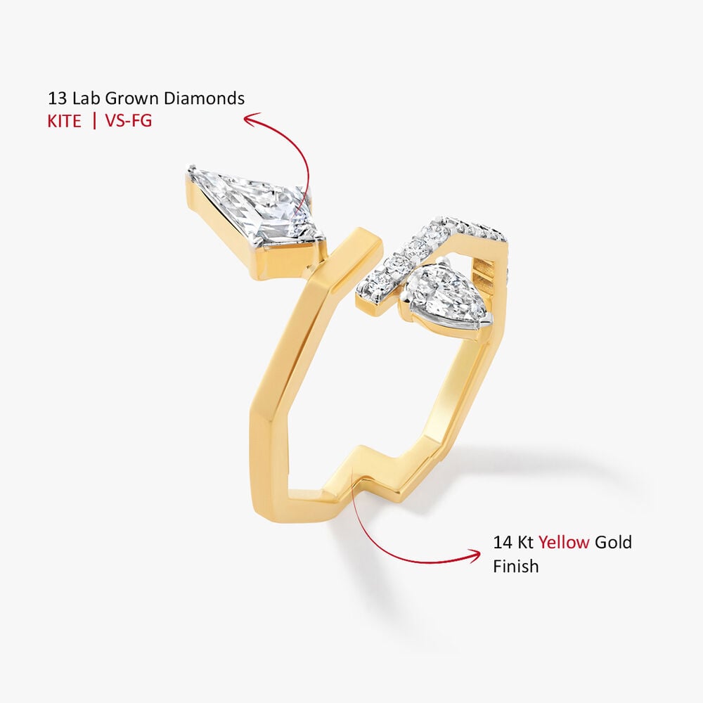 Cut Differently Ring,,hi-res image number null