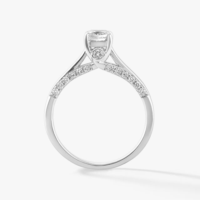 No Filter Ring,,hi-res image number null