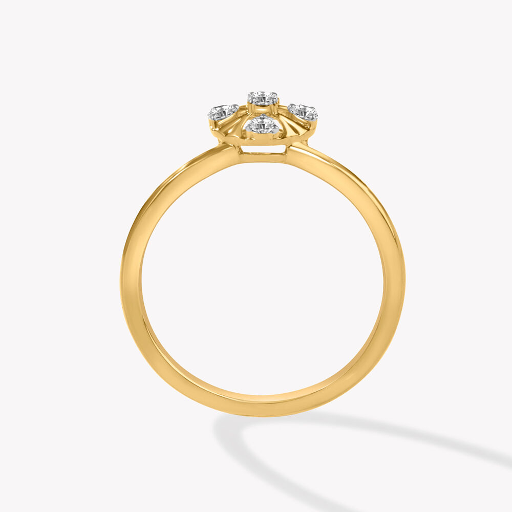 Circle With Control Ring,,hi-res image number null