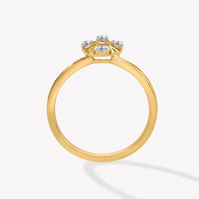 Circle With Control Ring,,hi-res image number null