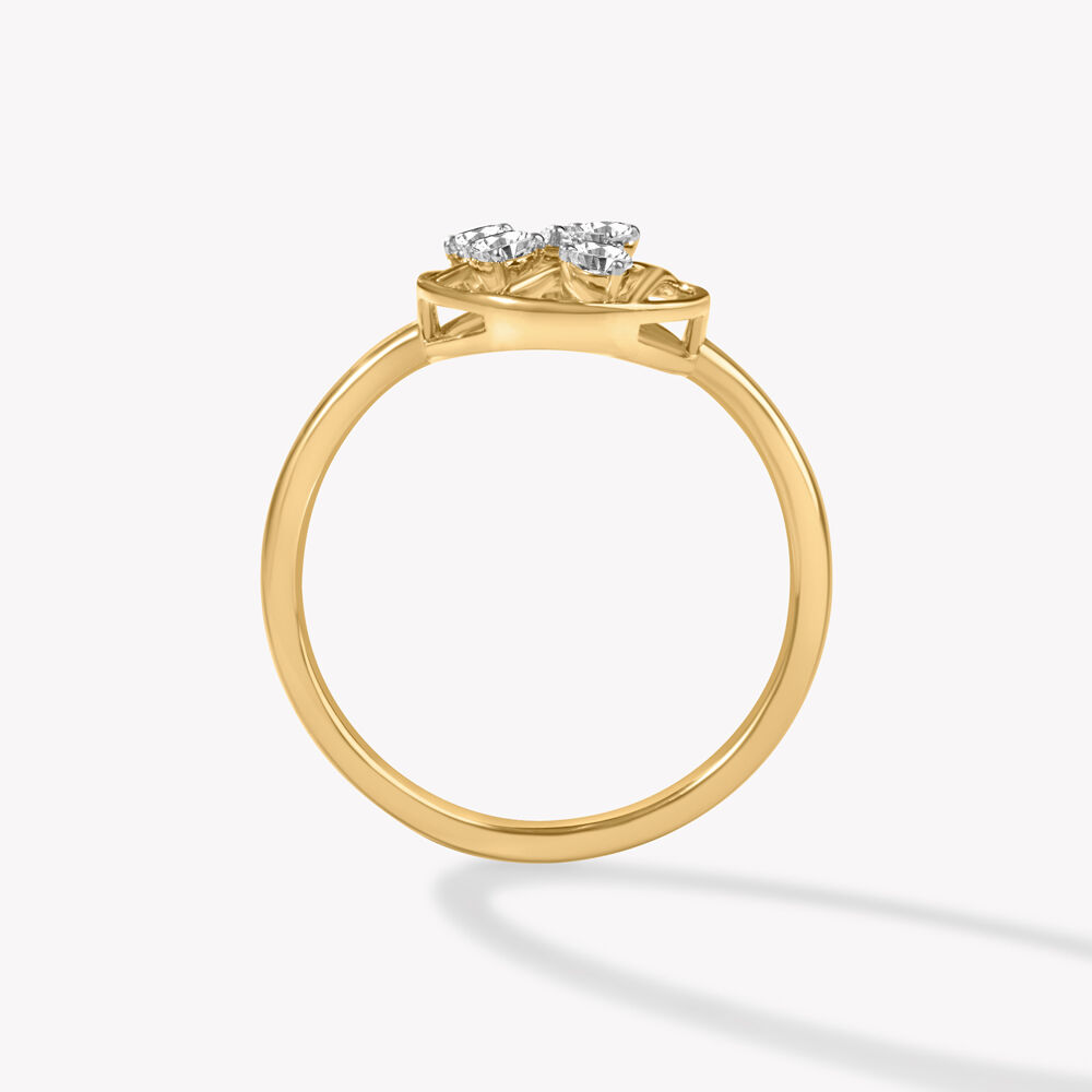 Scattered But Sorted Ring,,hi-res image number null