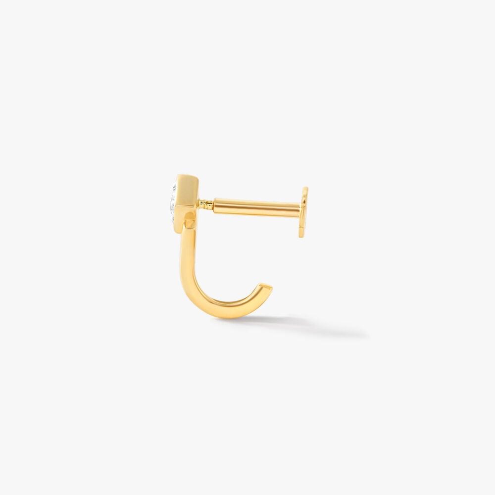 On Point Nosepin,,hi-res image number null