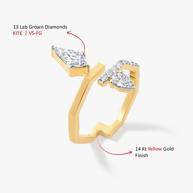 Cut Differently Ring,,hi-res image number null