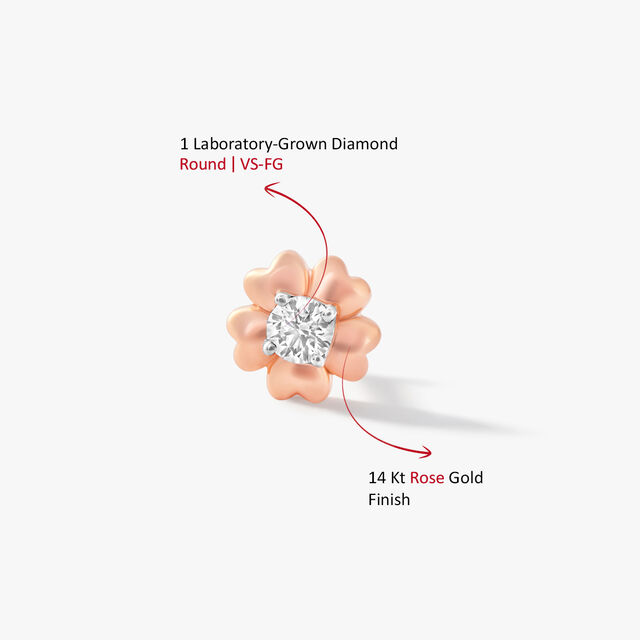 Free Spirited Nosepin,,hi-res image number null