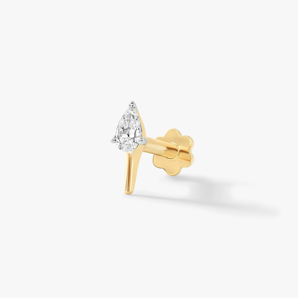 Pear-fect Nosepin,,hi-res image number null