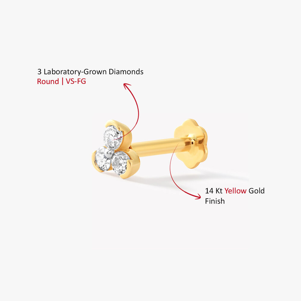 Trilia Nosepin,,hi-res image number null