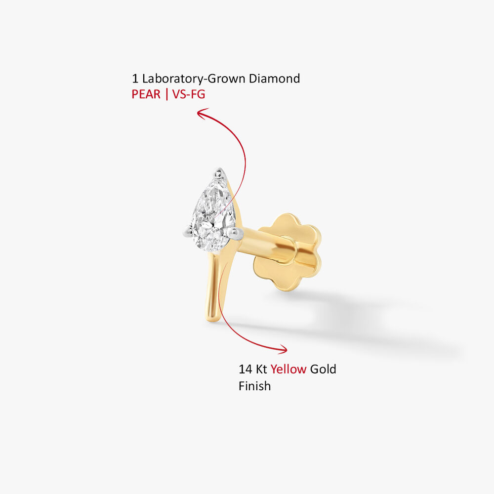 Pear-fect Nosepin,,hi-res image number null