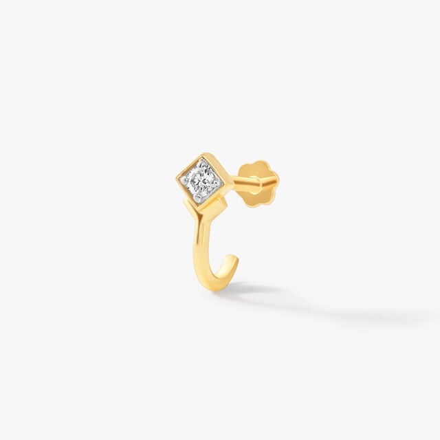 On Point Nosepin,,hi-res image number null