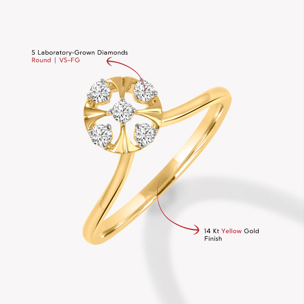 Circle With Control Ring,,hi-res image number null