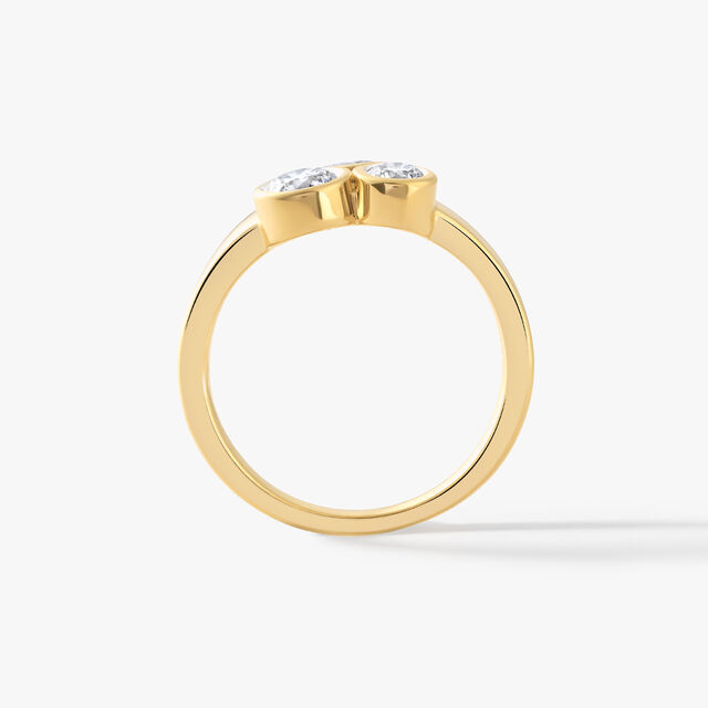 Nova Ring,,hi-res image number null