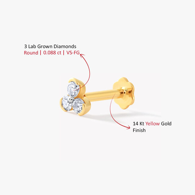 Trilia Nosepin,,hi-res image number null