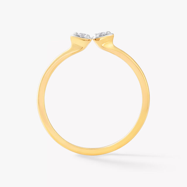 Mind The Gap Ring,,hi-res image number null