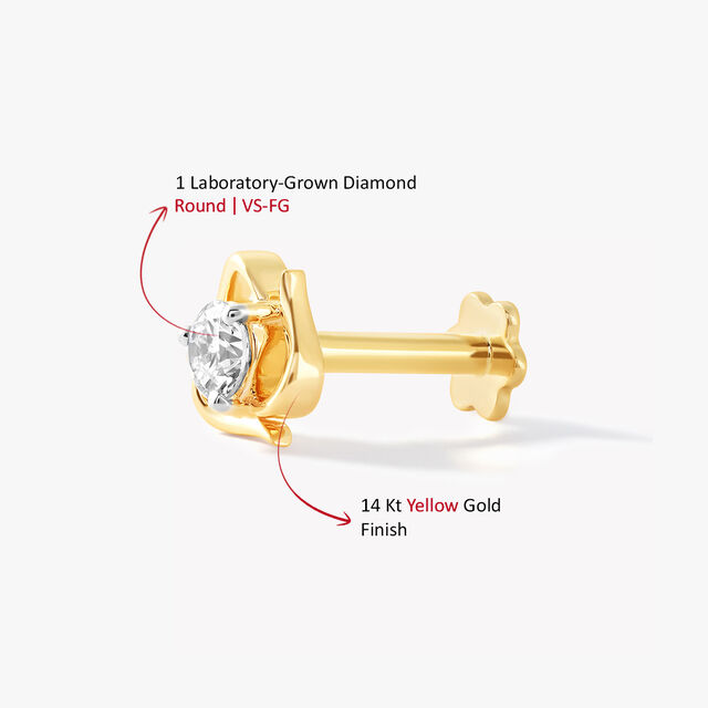 Petal Nosepin,,hi-res image number null