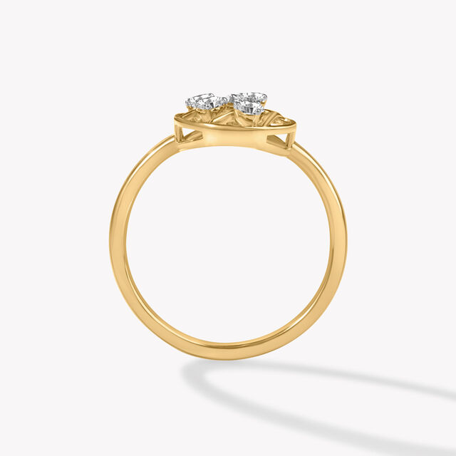Scattered But Sorted Ring,,hi-res image number null