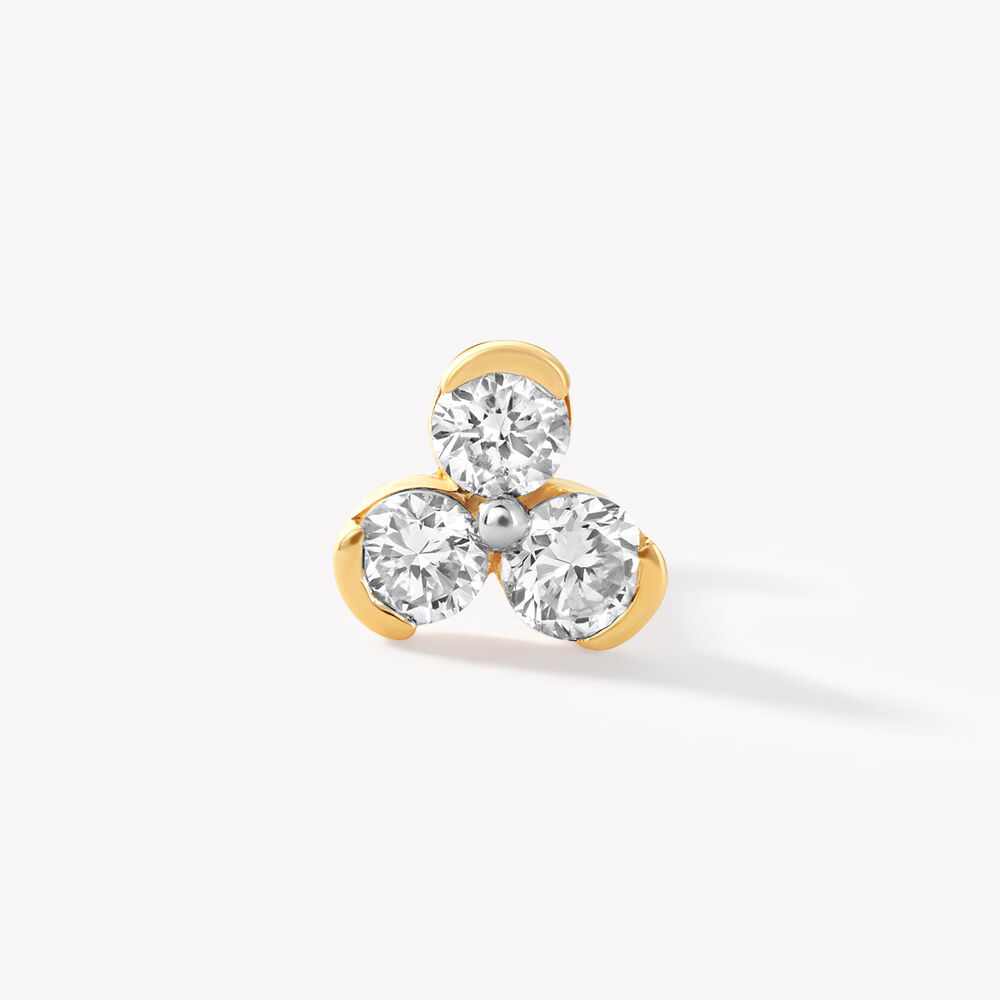 Trilia Nosepin,,hi-res image number null