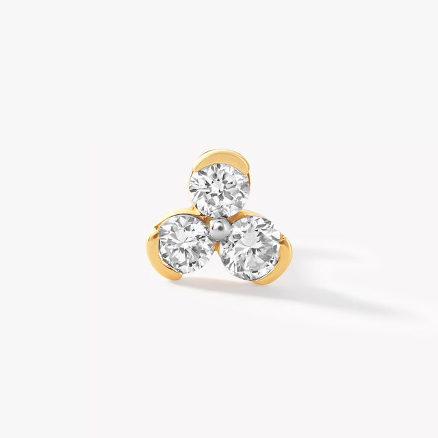 Trilia Nosepin,,hi-res image number null