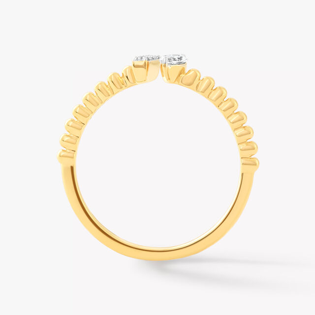 Bar Raised Ring,,hi-res image number null