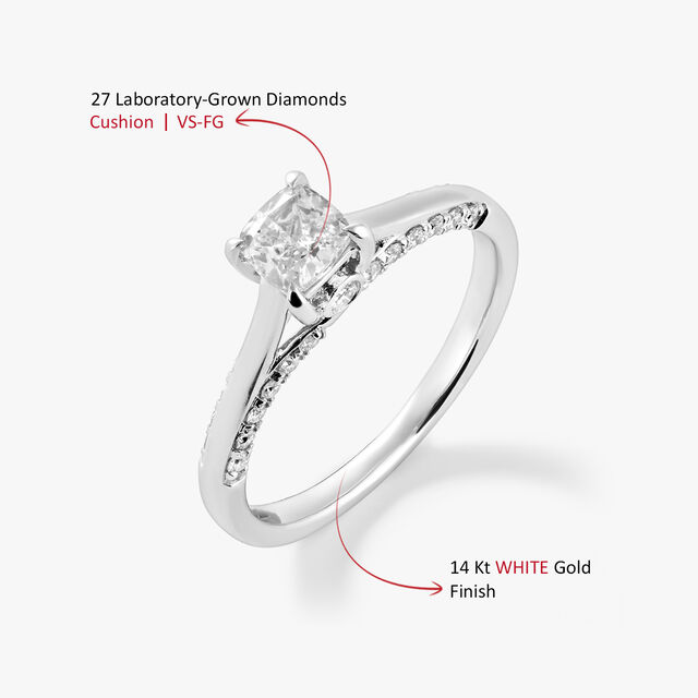 No Filter Ring,,hi-res image number null